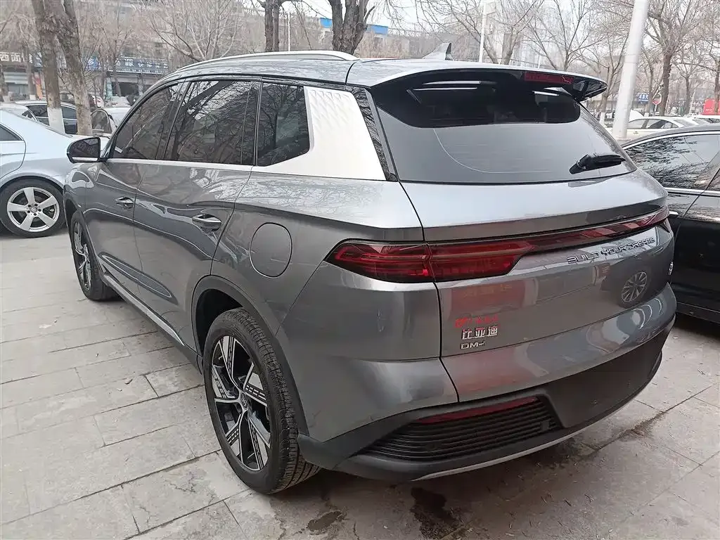 BYD Pro New Energy 2024 из CN, фото 8