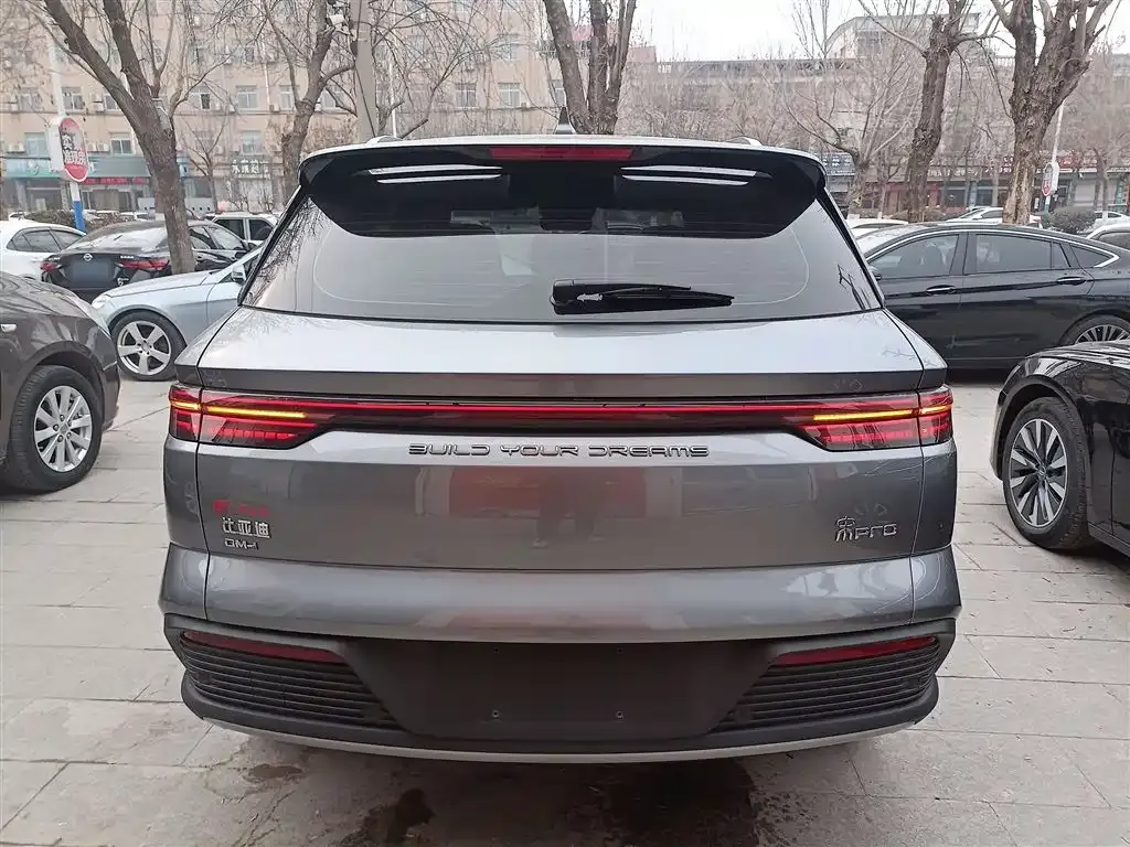 BYD Pro New Energy 2024 из CN, фото 9
