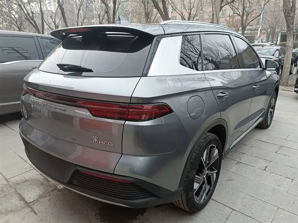 BYD Pro New Energy 2024 из CN, фото 10