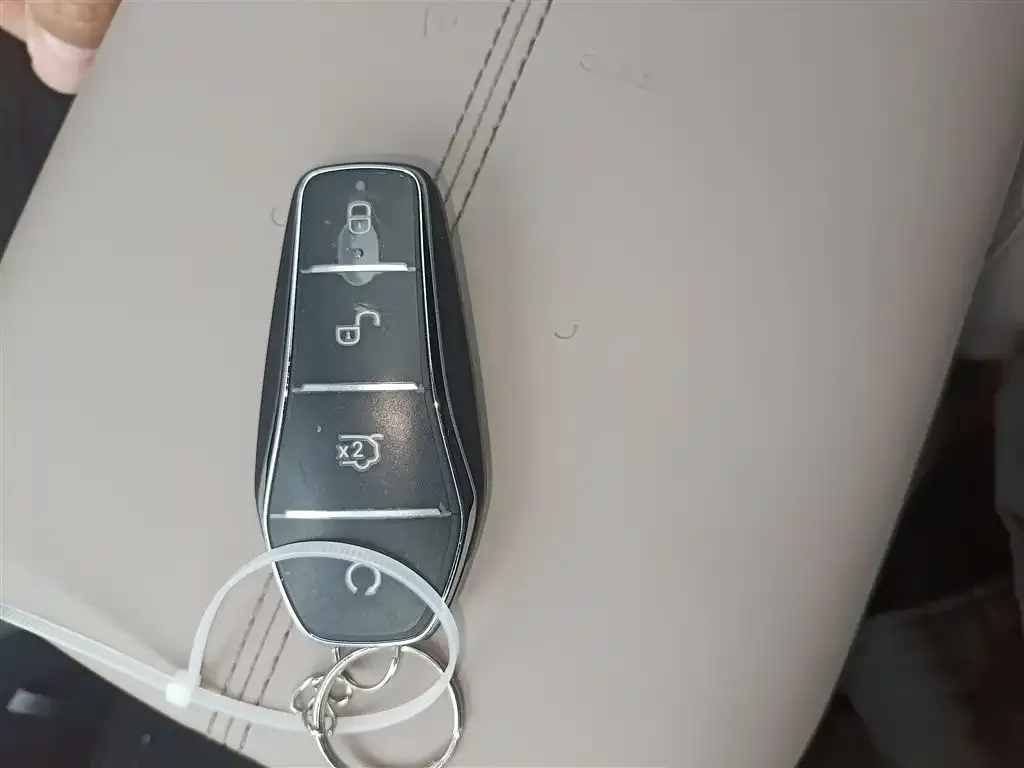 BYD Pro New Energy 2024 из CN, фото 2