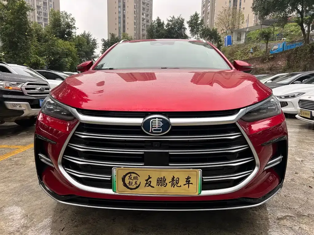BYD Tang New Energy 2022 из CN, фото 4