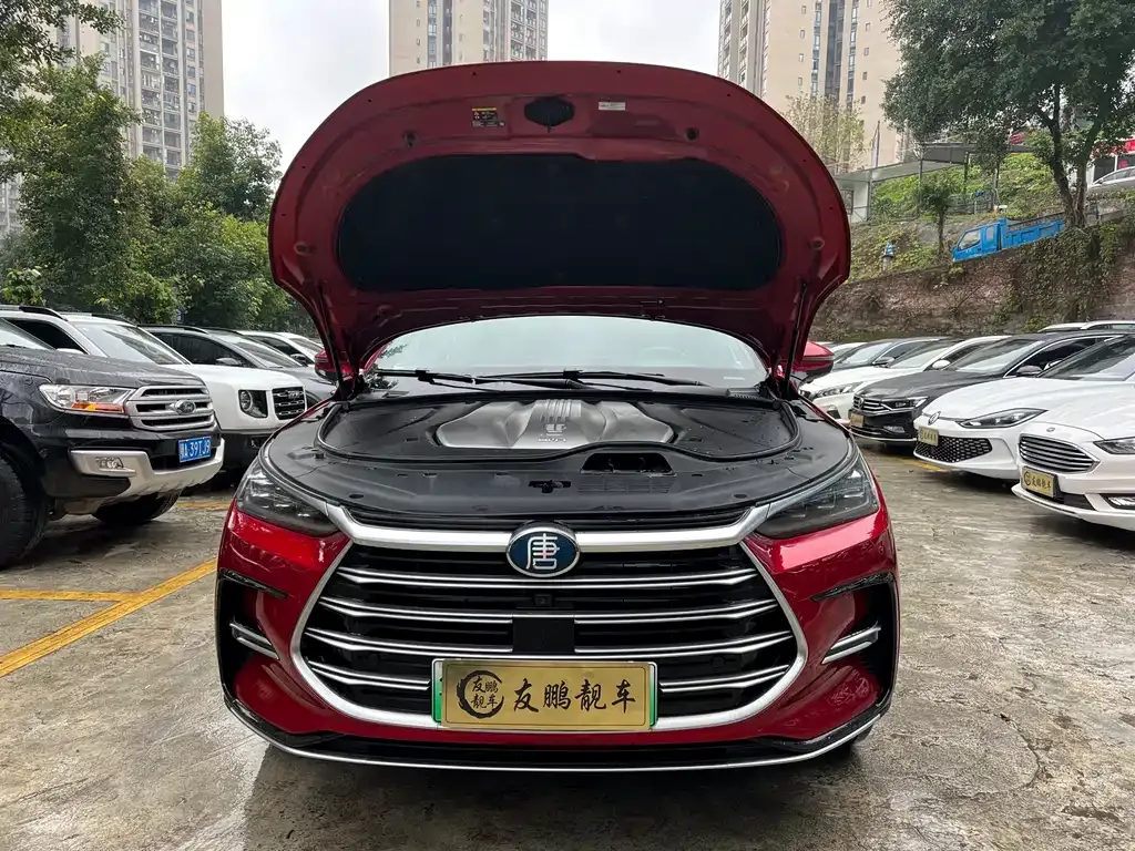 BYD Tang New Energy 2022 из CN, фото 8