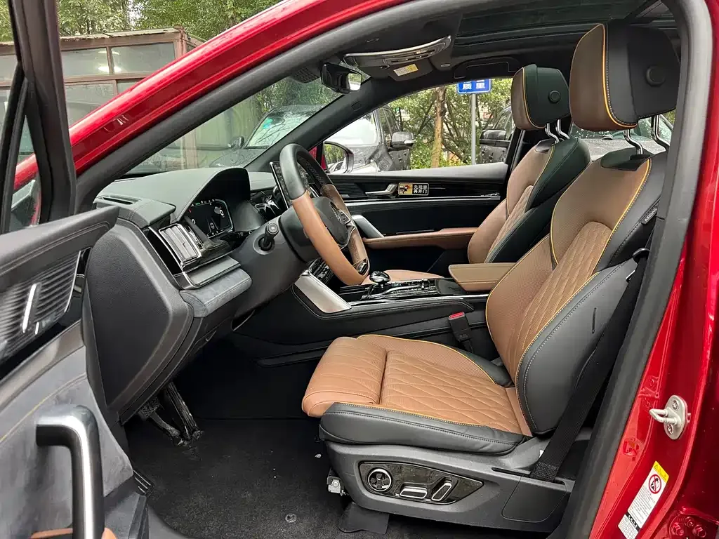 BYD Tang New Energy 2022 из CN, фото 6