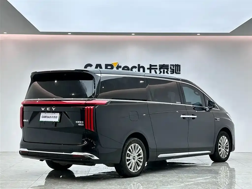 Wey Gaoshan 2025 из CN, фото 6