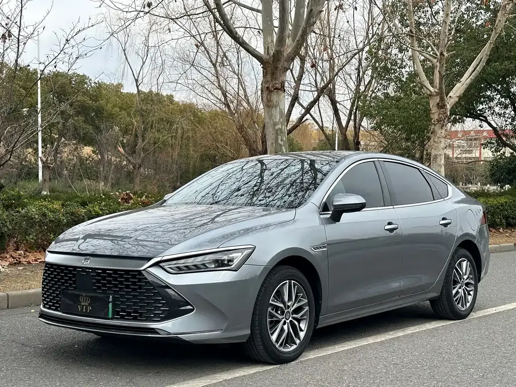 BYD Qin PLUS — фото 1