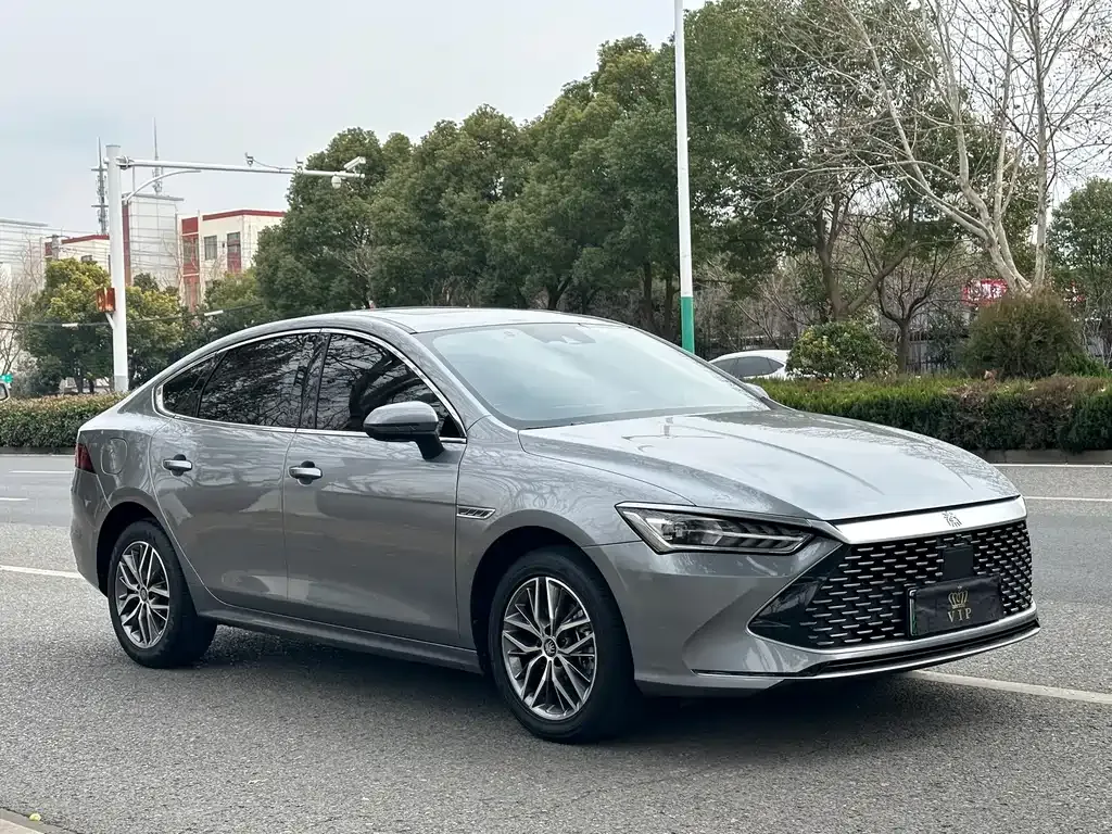 BYD Qin PLUS — фото 2