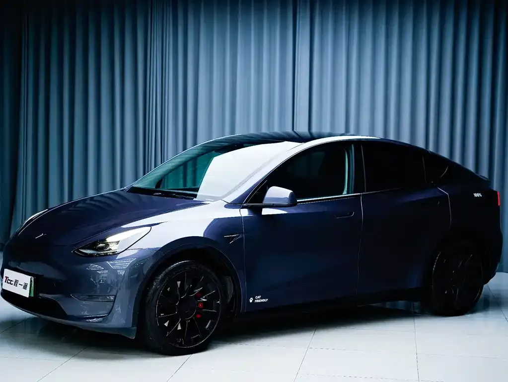 Tesla Model Y 2021 из CN, фото 1
