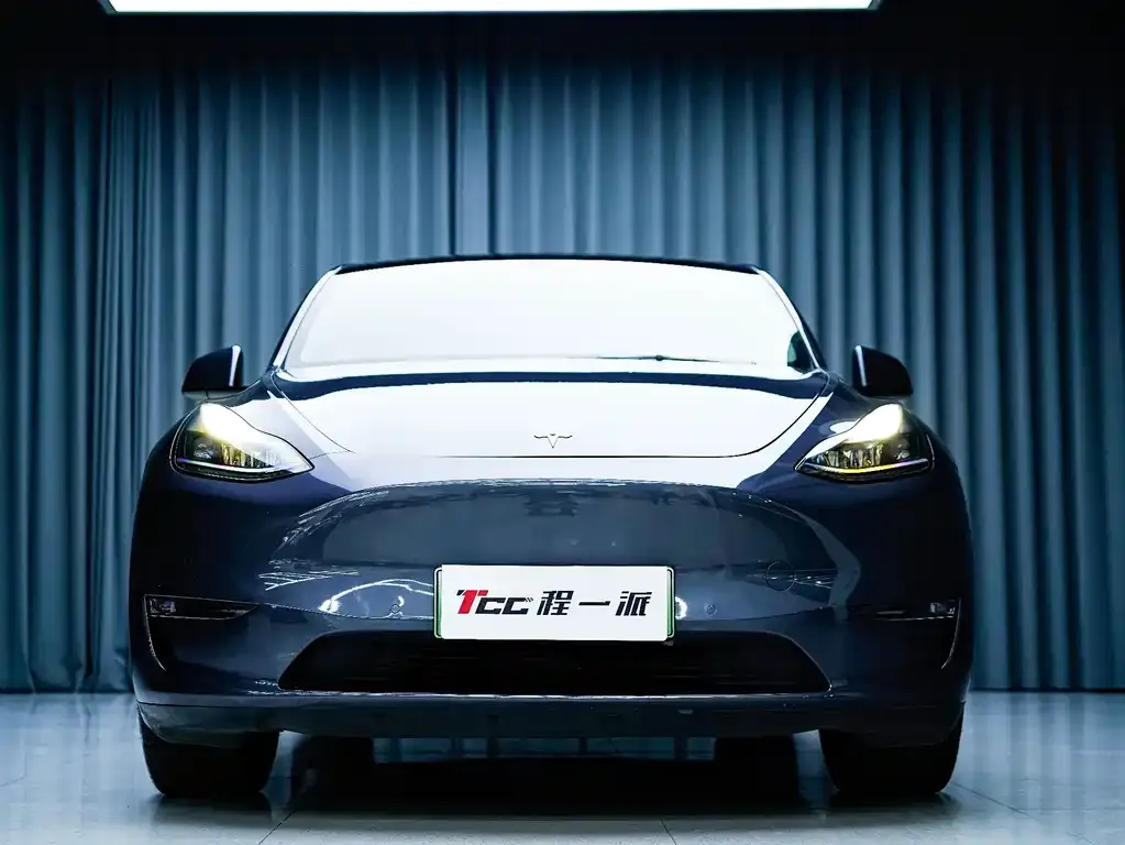 Tesla Model Y 2021 из CN, фото 5