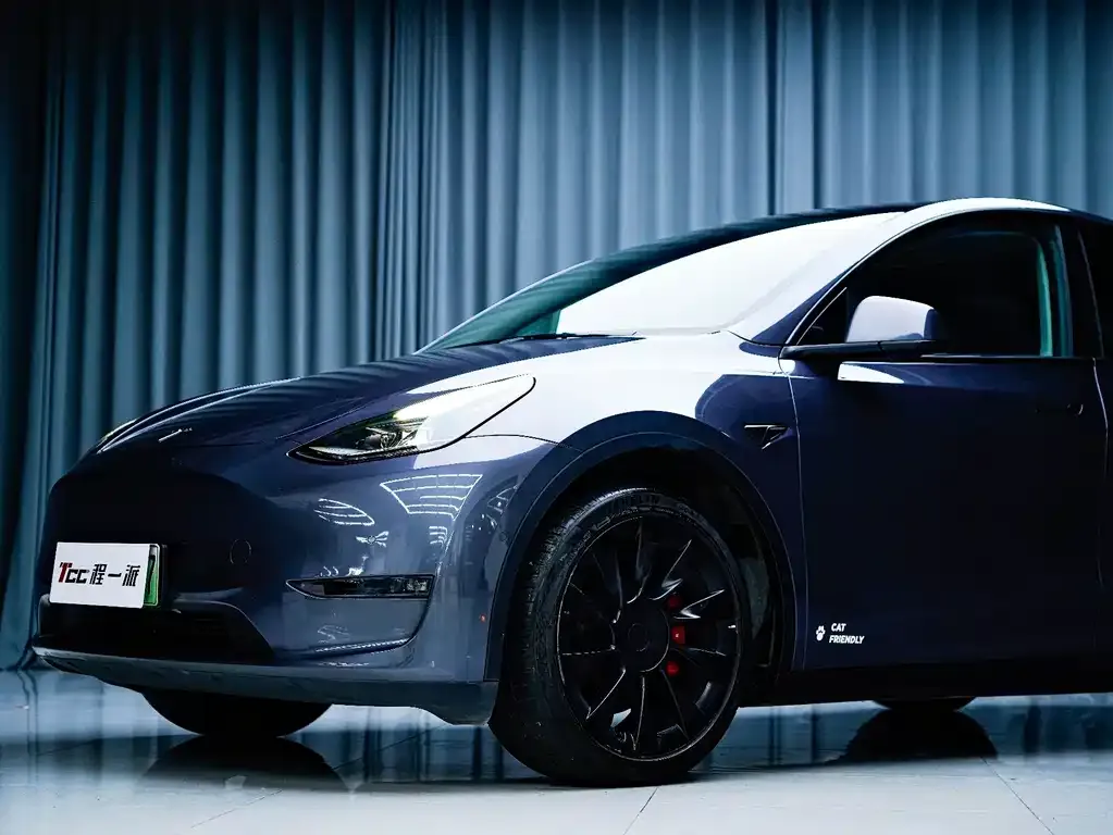 Tesla Model Y 2021 из CN, фото 3