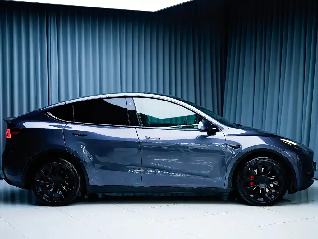 Tesla Model Y 2021 из CN, фото 4