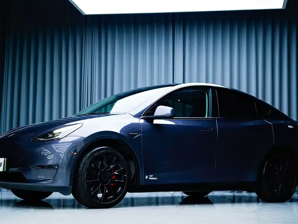 Tesla Model Y 2021 из CN, фото 6