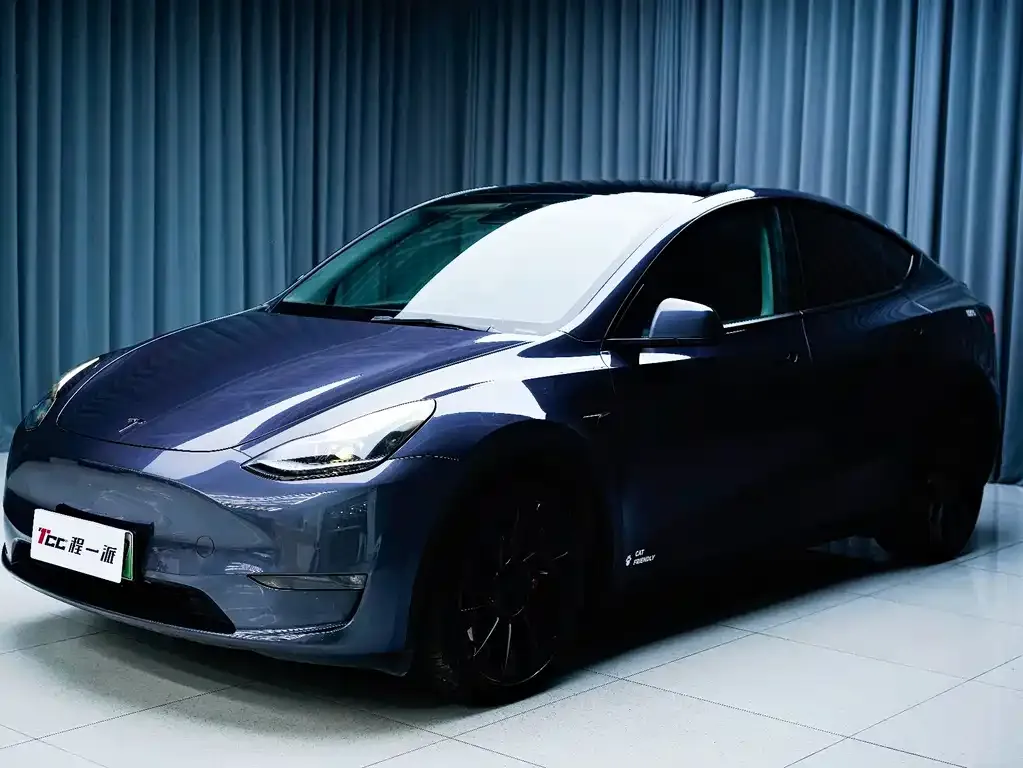 Tesla Model Y 2021 из CN, фото 9