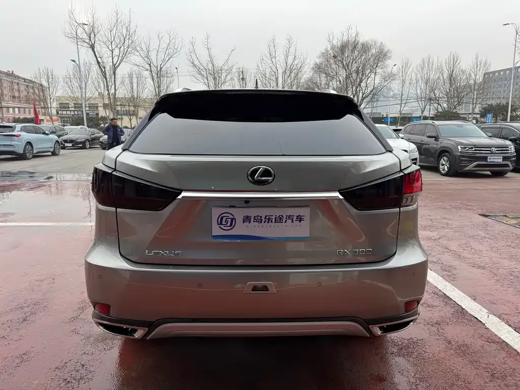 Lexus RX 2022 из CN, фото 4