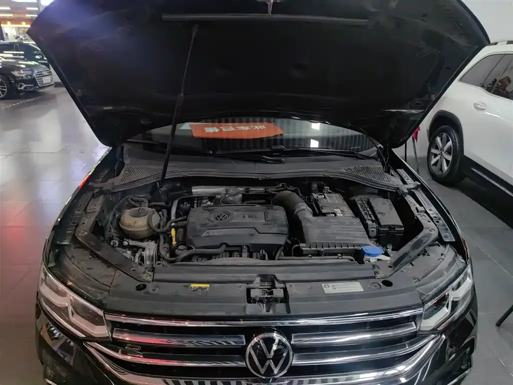 Volkswagen Tiguan L 2023 из CN, фото 5