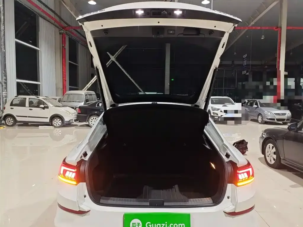 Volkswagen Lamando 2023 из CN, фото 3