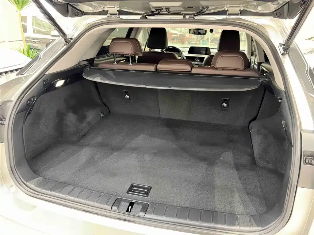 Lexus RX 2021 из CN, фото 9