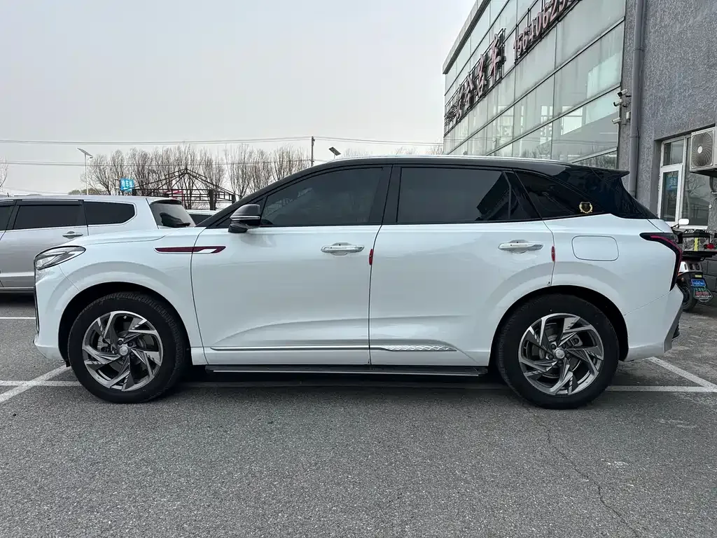 Hongqi HS3 PHEV 2025 из CN, фото 9