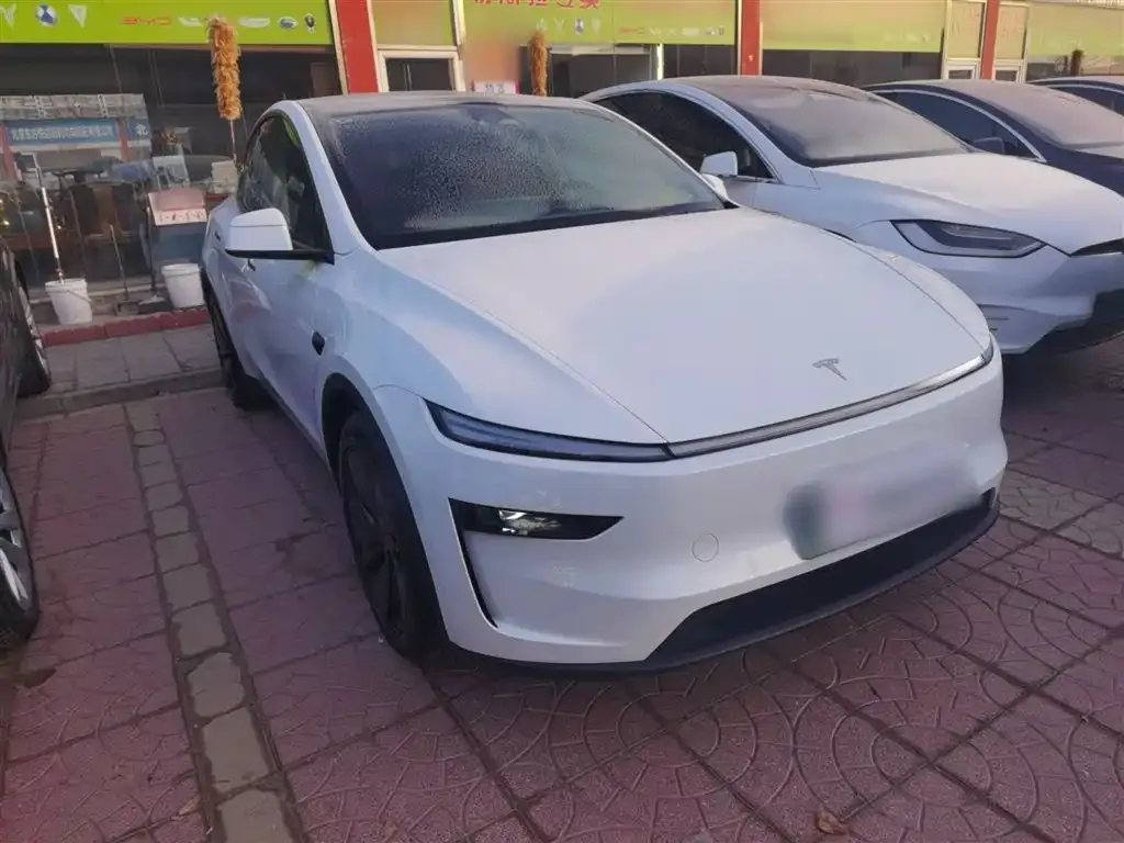 Tesla Model Y 2025 из CN, фото 8