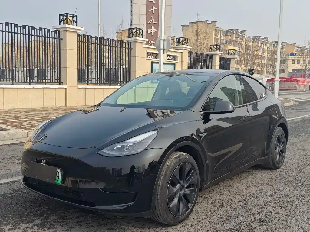 Tesla Model Y — фото 1