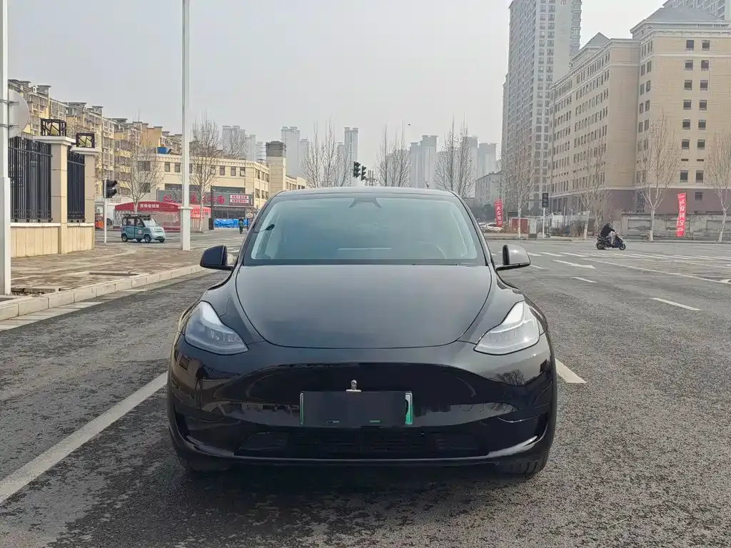 Tesla Model Y — фото 10