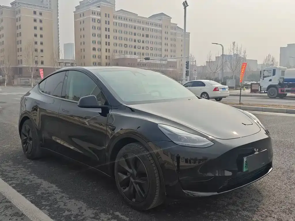 Tesla Model Y — фото 9
