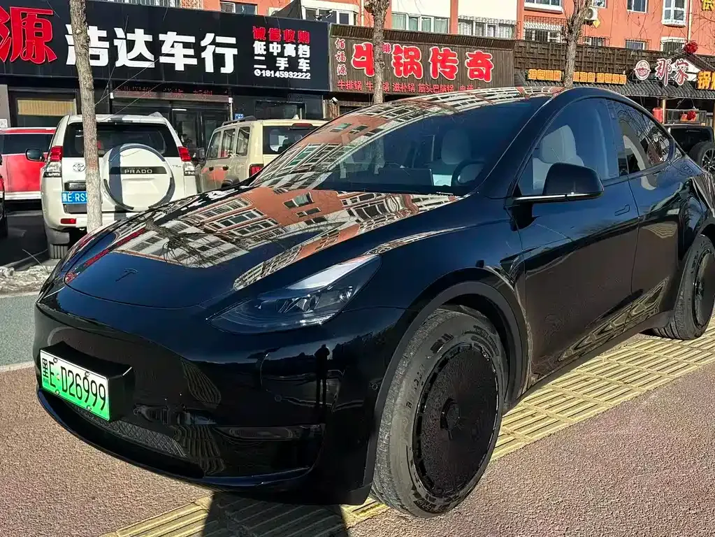 Tesla Model Y 2024 из CN, фото 1