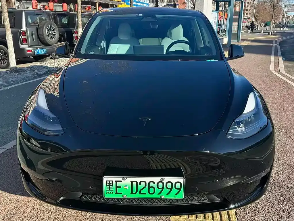 Tesla Model Y 2024 из CN, фото 8