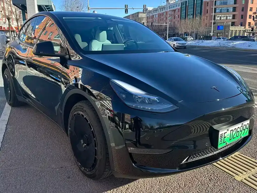 Tesla Model Y 2024 из CN, фото 9