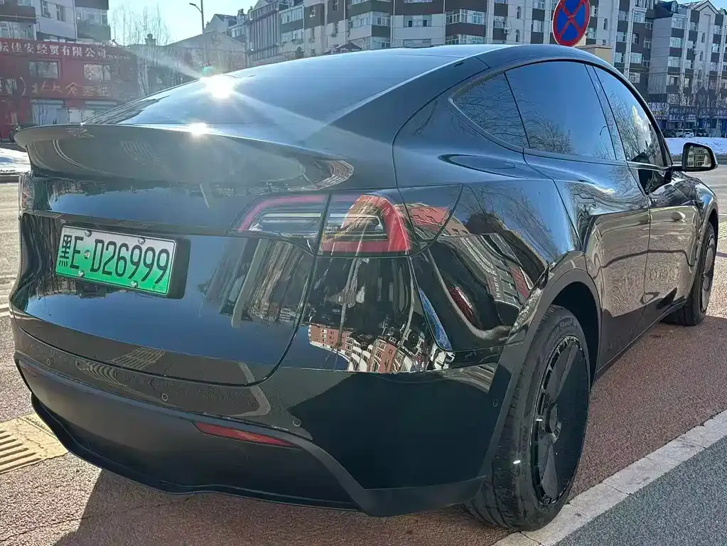 Tesla Model Y 2024 из CN, фото 6