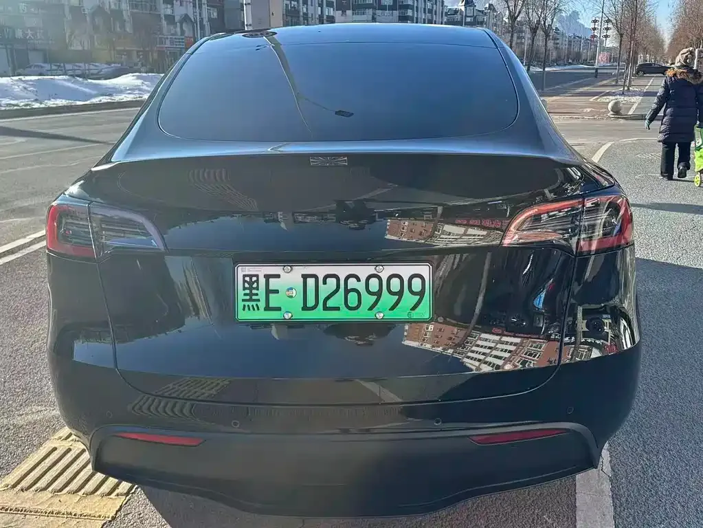 Tesla Model Y 2024 из CN, фото 2