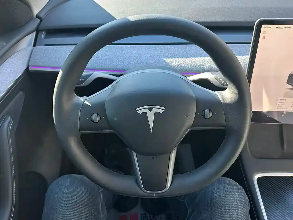 Tesla Model Y 2024 из CN, фото 7