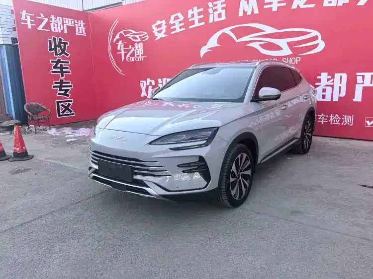 BYD PLUS New Energy 2024 из CN, фото 3