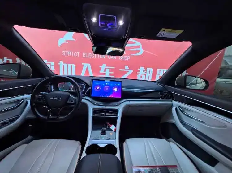 BYD PLUS New Energy 2024 из CN, фото 2