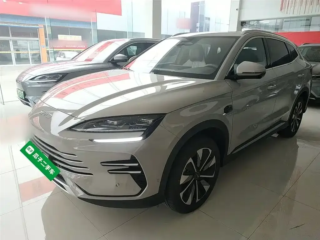 BYD PLUS New Energy 2025 из CN, фото 1