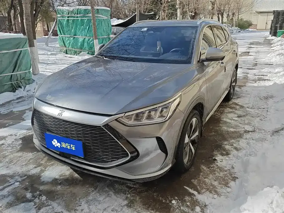 BYD PLUS New Energy 2023 из CN, фото 1