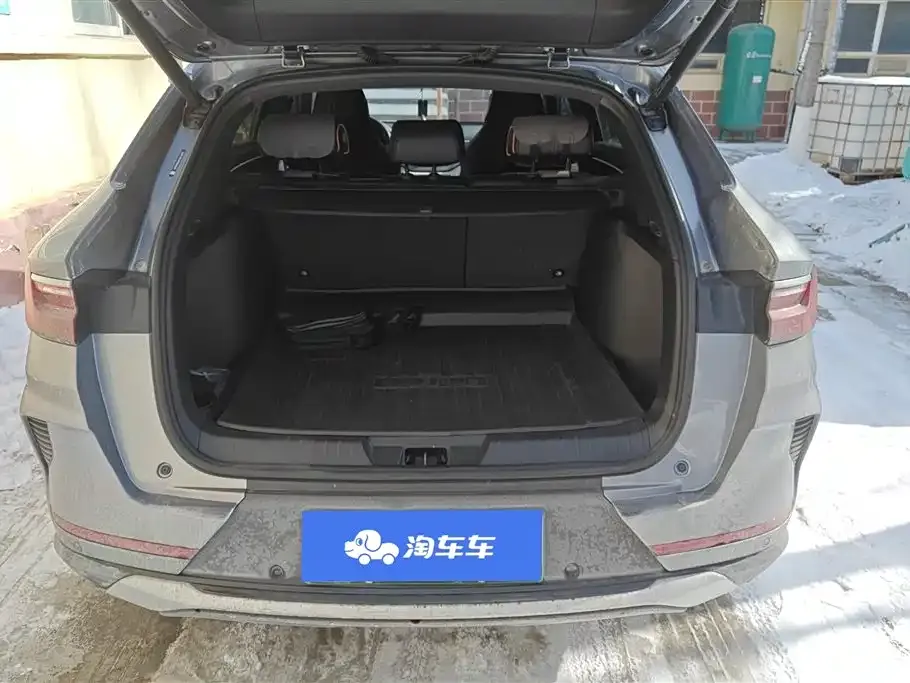 BYD PLUS New Energy 2023 из CN, фото 7