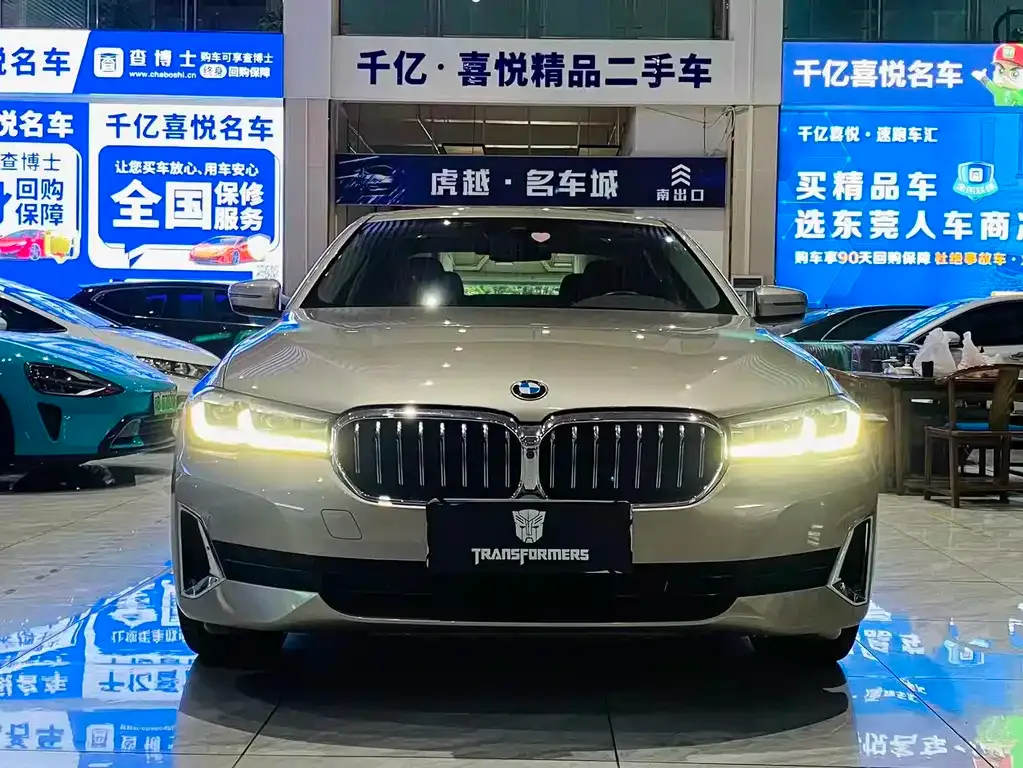 BMW 5 Series 2021 из CN, фото 6
