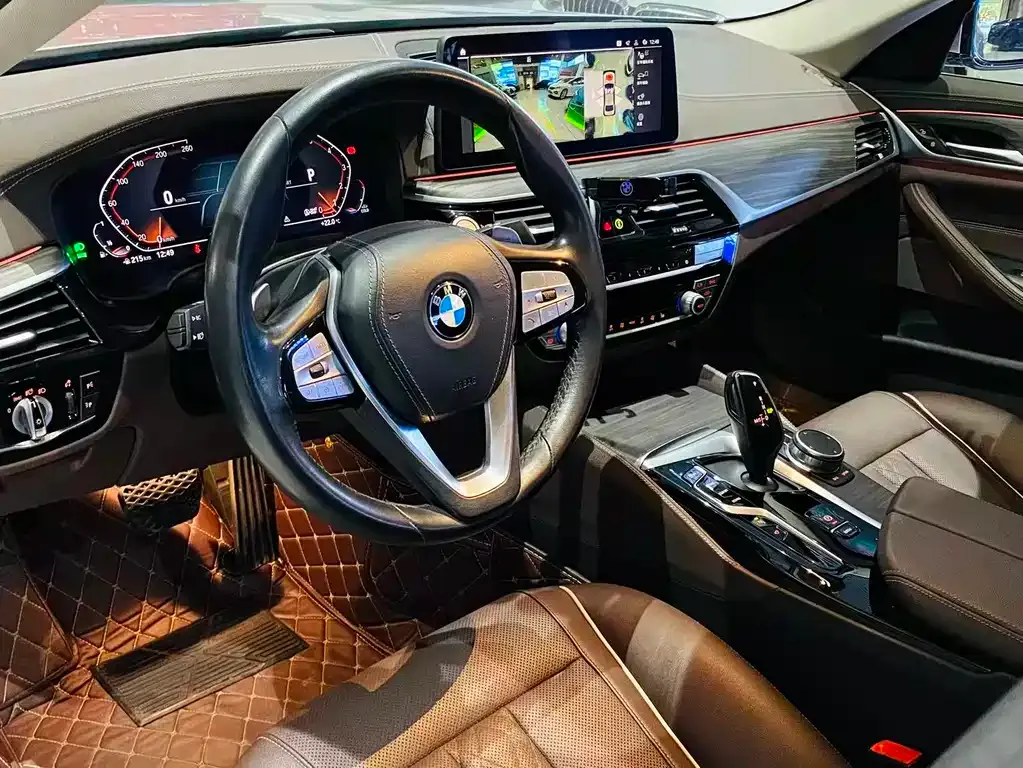 BMW 5 Series 2021 из CN, фото 7