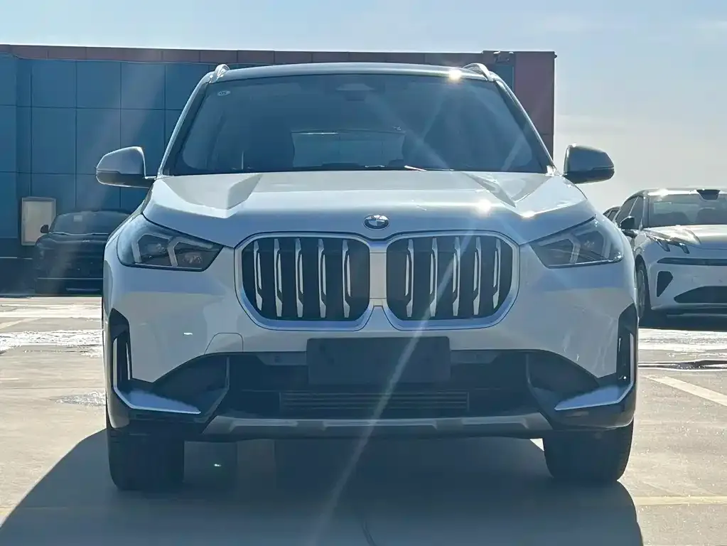 BMW X1 2023 из CN, фото 9