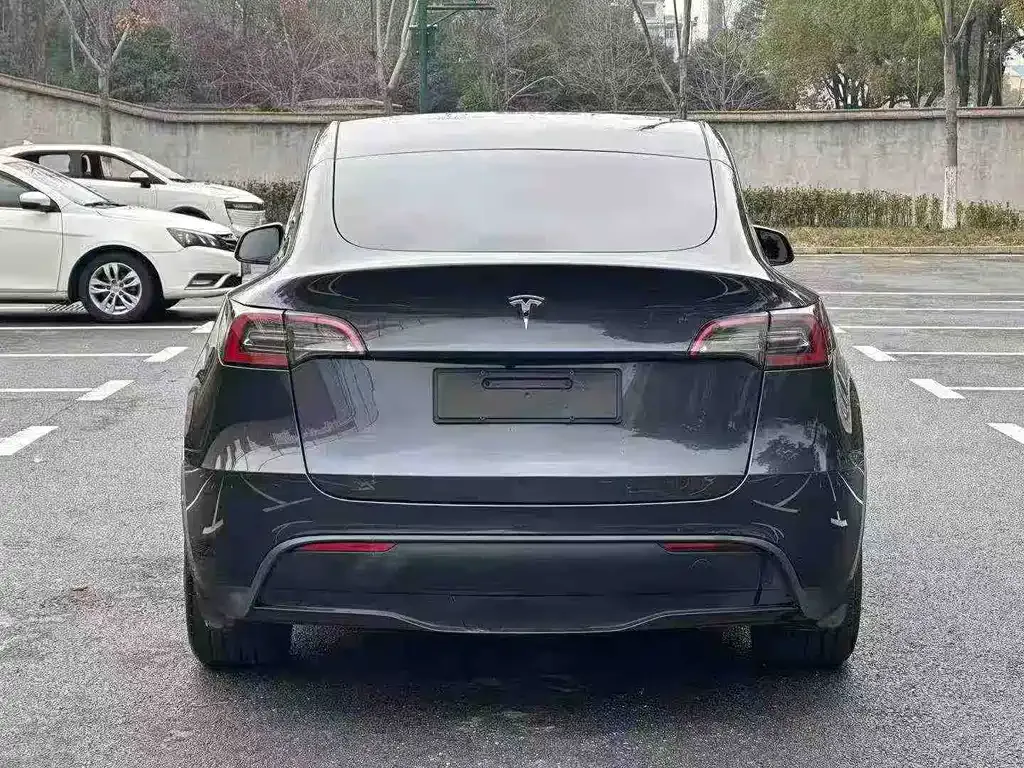 Tesla Model Y 2024 из CN, фото 6