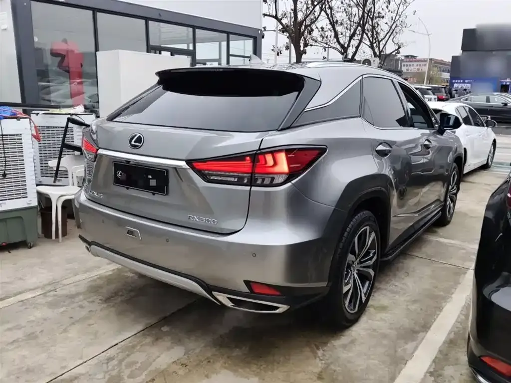 Lexus RX 2022 из CN, фото 5