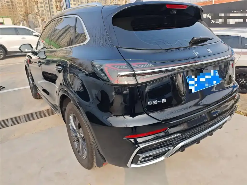 Hongqi HS5 2024 из CN, фото 6