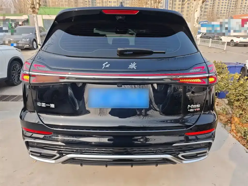 Hongqi HS5 2024 из CN, фото 9