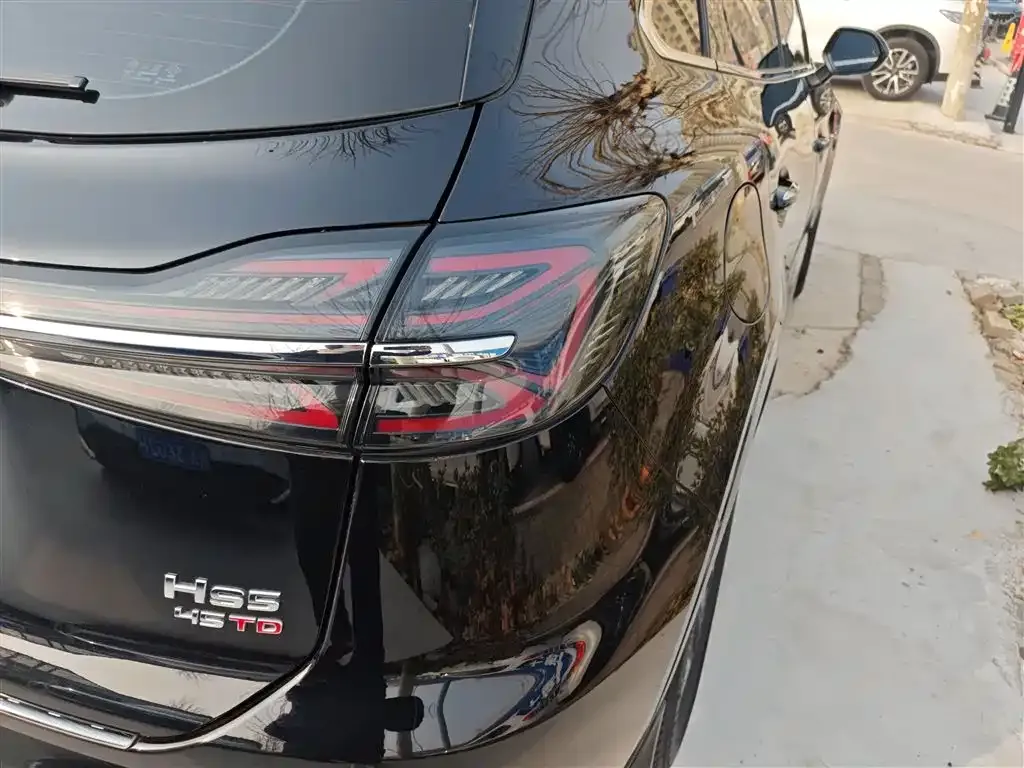 Hongqi HS5 2024 из CN, фото 3