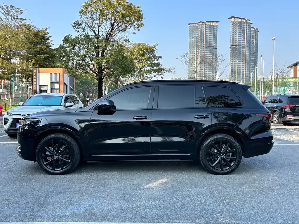 Li Auto ONE 2023 из CN, фото 6