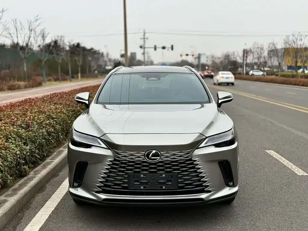 Lexus RX 2023 из CN, фото 6
