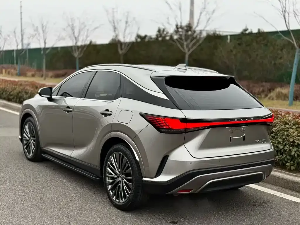 Lexus RX 2023 из CN, фото 4