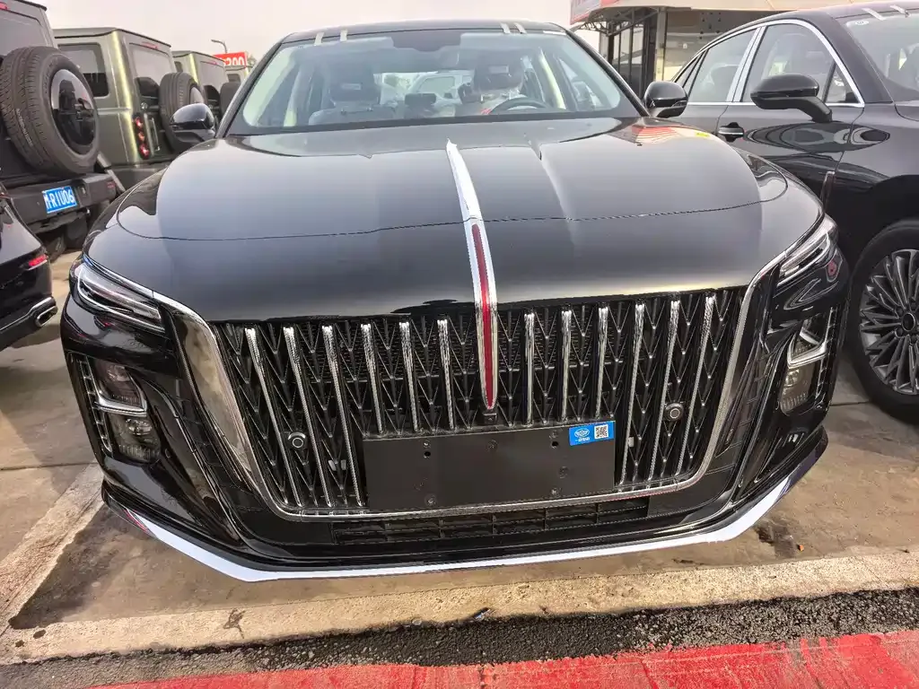 Hongqi H5 2025 из CN, фото 6