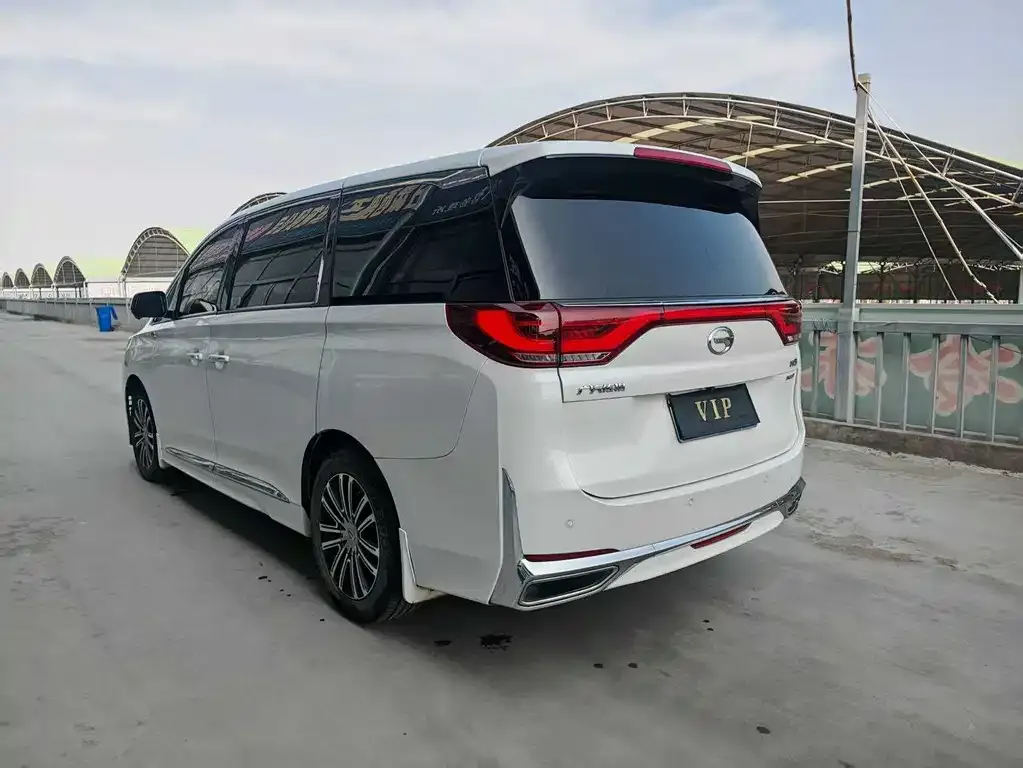 GAC Motor Trumpchi M8 2021 из CN, фото 7
