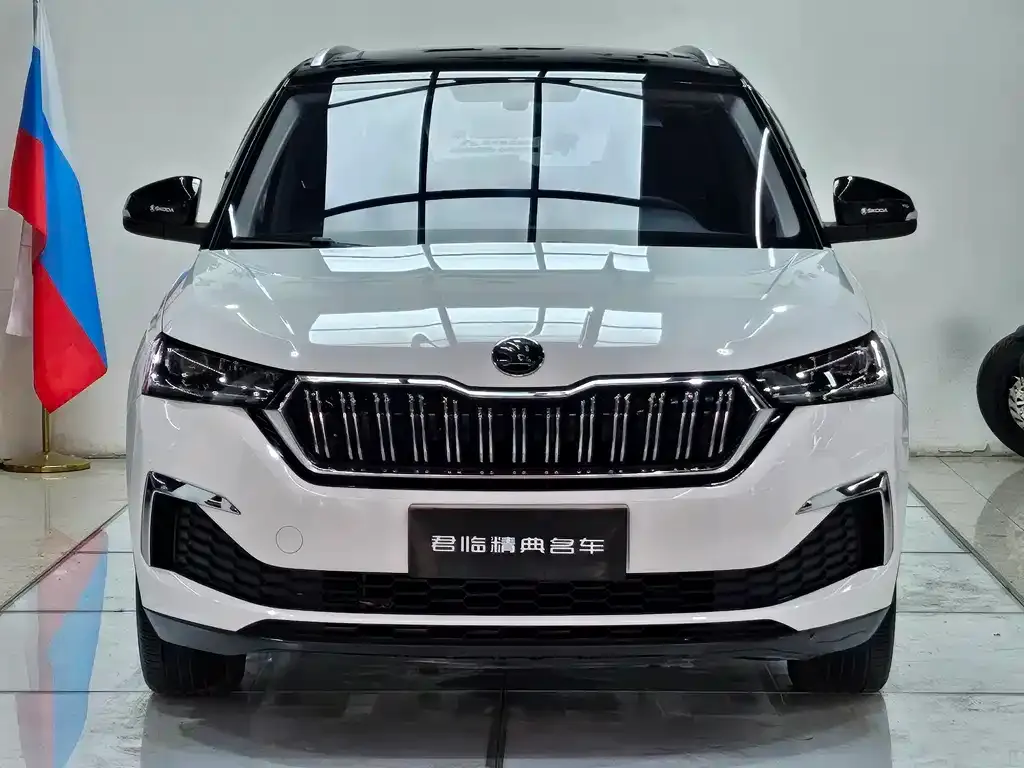 Skoda Kamiq 2023 из CN, фото 5